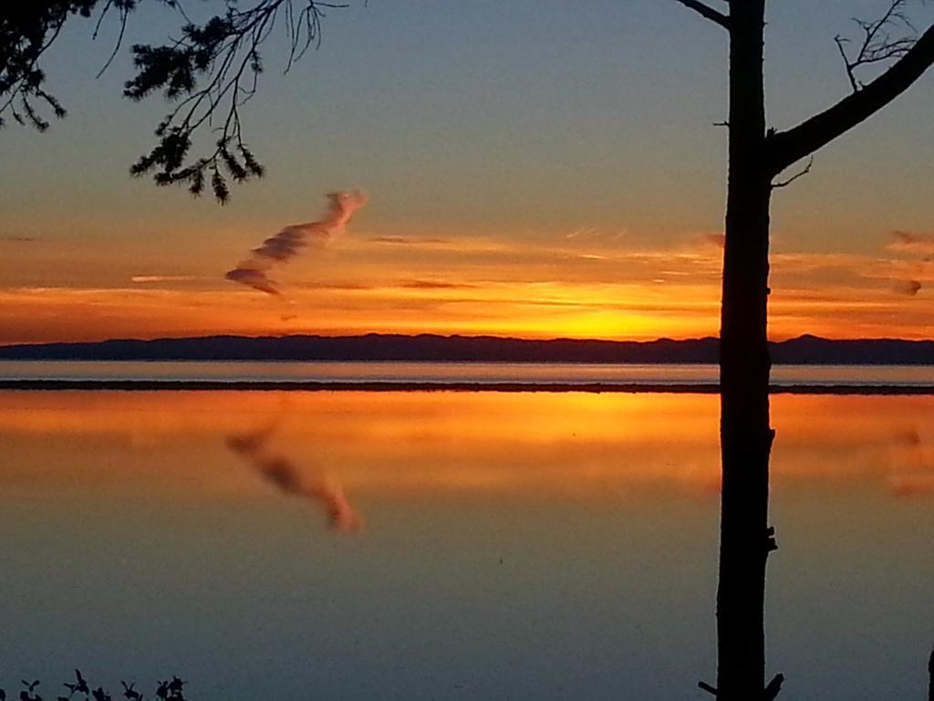 Greenhouse Inn By The Bay Sequim Luaran gambar